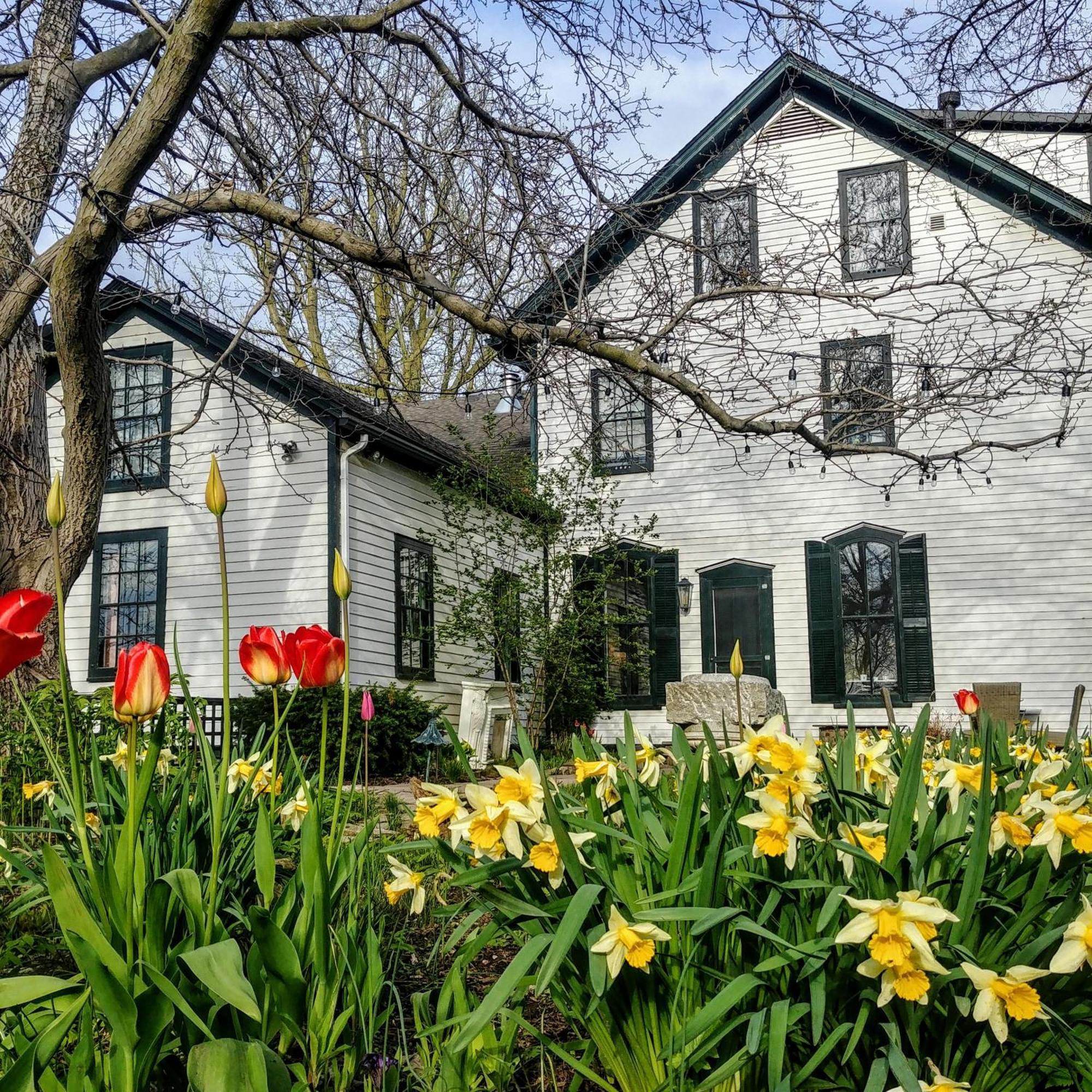 Woodbourne Inn Niagara-on-the-Lake Ngoại thất bức ảnh